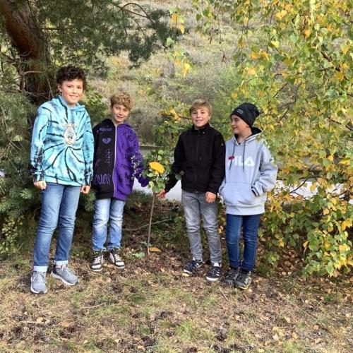 Bild 9