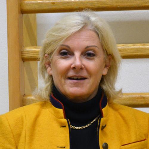Schulfestival