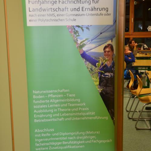 Schulfestival