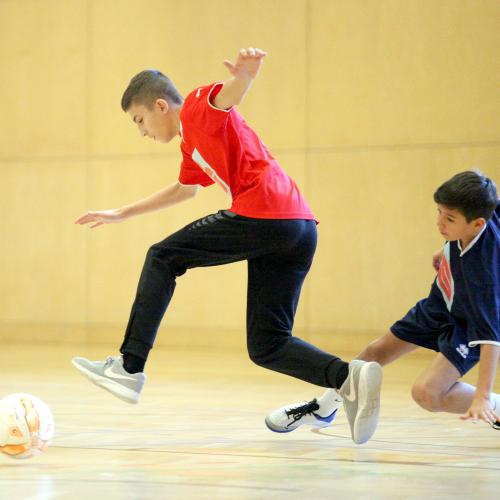 Bilder Rundschau_5