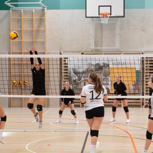 Volleyball