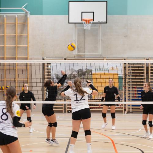 Volleyball