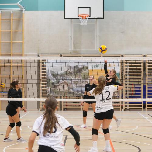 Volleyball