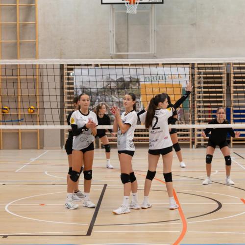 Volleyball