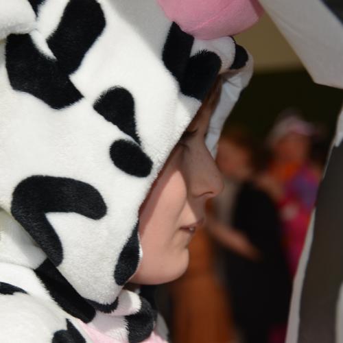 Fasching 25