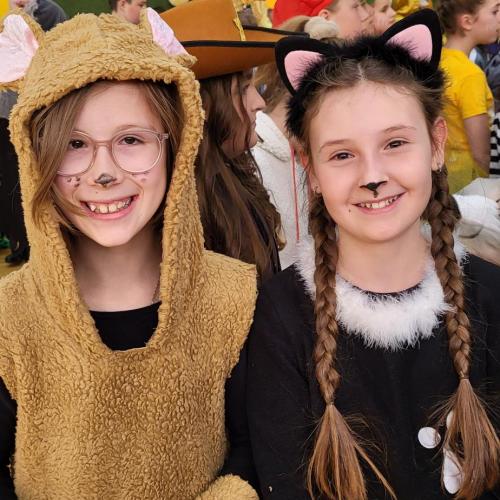 Fasching 25