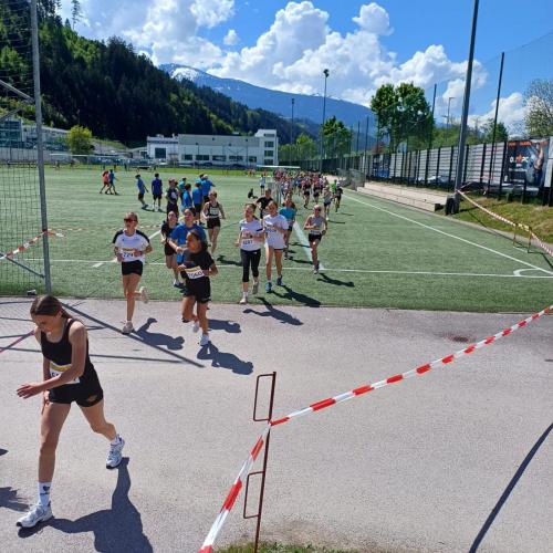 lauf31
