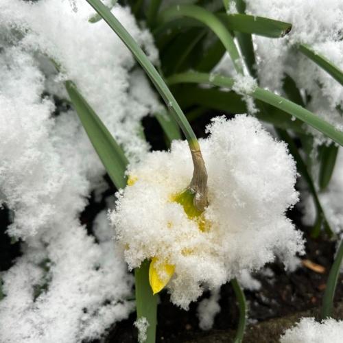 Ostergottesdienst 26