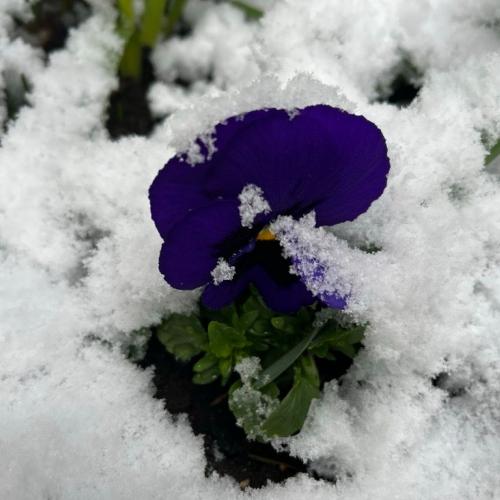 Ostergottesdienst 26